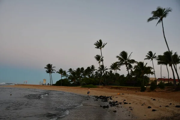 Alba Poipu Beach Sull Isola Kauai Alle Hawaii — Foto Stock