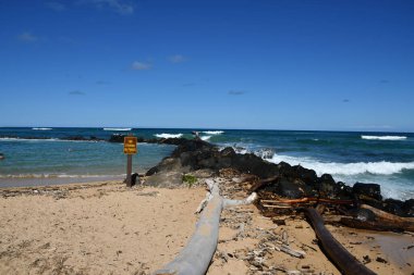Hawaii 'deki Kauai Adası, Wailua' daki Lydgate Plajı Parkı
