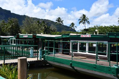 18 Ağustos 2021 'de Hawaii' de Kauai Adası 'nda demirci tekneleri, Wailua Nehri Teknesi' nde görüldü..