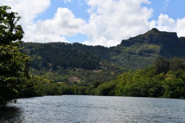 Hawaii 'deki Kauai Adası' ndaki Wailua Nehri.