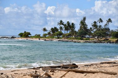 Hawaii 'deki Kauai Adası' ndaki Wailua Sahili Parkı