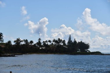Hawaii 'deki Kauai Adası' ndaki Wailua Sahili Parkı