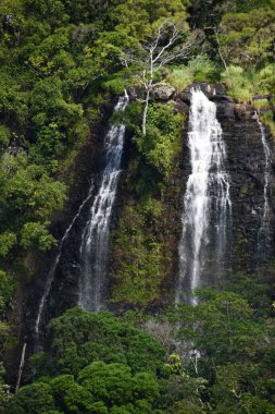 Hawaii 'deki Opaekaa Şelalesi