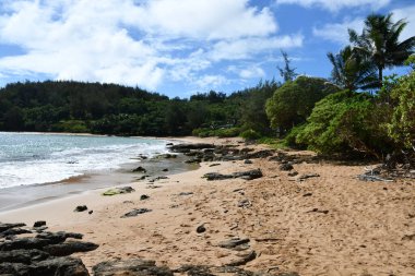 Hawaii, Kauai 'deki Anahola' daki Aliomanu Sahili 'nden görüntü