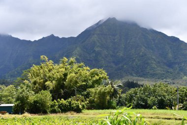 Hawaii 'deki Kauai Adası' nda Hanalei