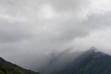 Hawaii 'deki Kauai Adası' nda Hanalei