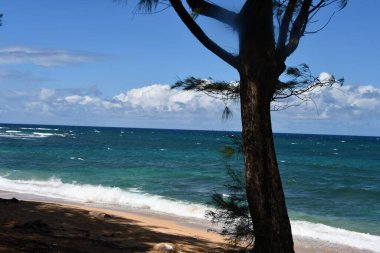 Hawaii 'deki Kauai Adası' ndaki Hanalei 'den gelen suyun görüntüsü.