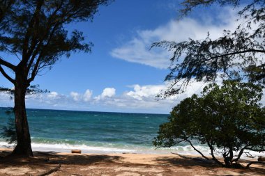 Hawaii 'deki Kauai Adası' ndaki Hanalei 'den gelen suyun görüntüsü.