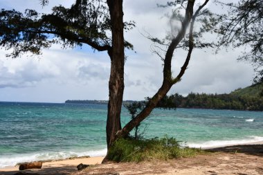 Hawaii 'deki Kauai Adası' ndaki Hanalei 'den gelen suyun görüntüsü.