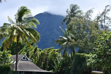 Hawaii 'de Kauai adasının etrafında dolaşmak