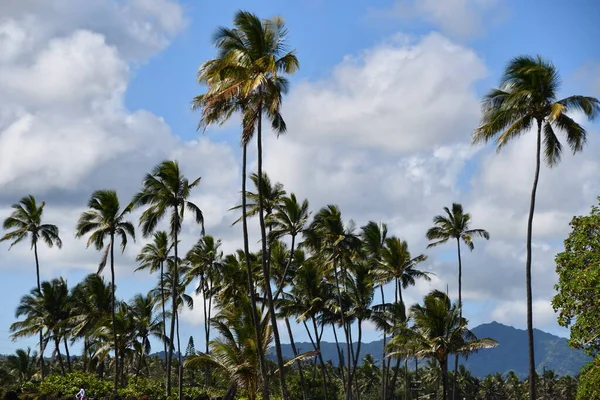 Lydgate Beach Park Wailua Wyspie Kauai Hawajach — Zdjęcie stockowe