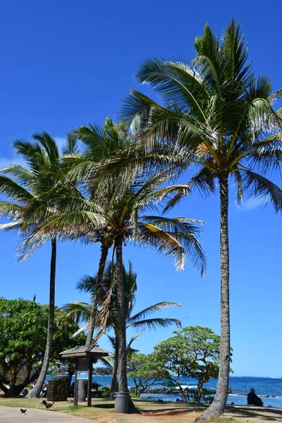 Lydgate Beach Park Bij Wailua Kauai Island Hawaï — Stockfoto