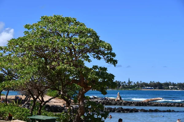 Lydgate Beach Park Wailua Kauai Island Hawaii — Stock Photo, Image