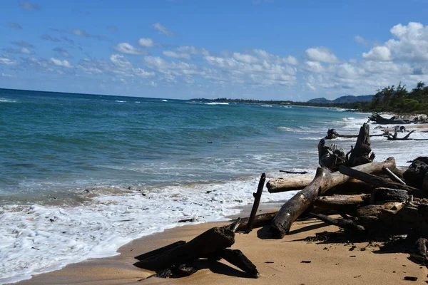 Lydgate Beach Park Bij Wailua Kauai Island Hawaï — Stockfoto