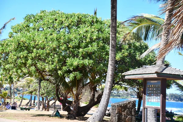Wailua 8月18日 2021年8月18日に見られるように ハワイのカウアイ島のワイルーアにあるLydgate Beach Park — ストック写真