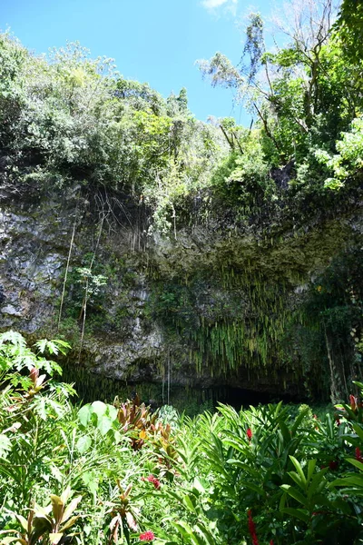 Gruta Samambaia Parque Estadual Rio Wailua Ilha Kauai Havaí — Fotografia de Stock
