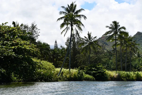 Wailua River Kauai Island Hawaï — Stockfoto