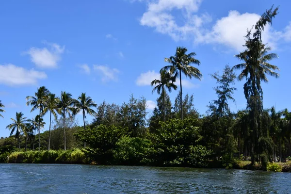 Wailua River Kauai Island Hawaii — Stock Photo, Image