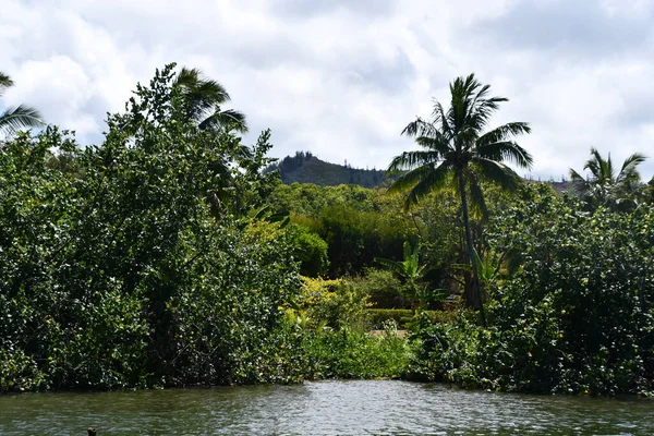 Wailua River Kauai Island Hawaii — Stock Photo, Image