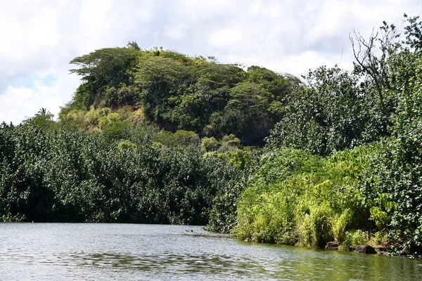 Wailua River Kauai Island Hawaii — Stock Photo, Image