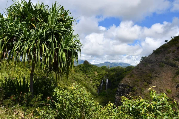 Водоспад Опаека Кауаї Гаваї — стокове фото