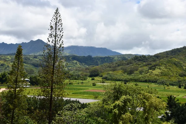 Hanalei Kauai Hawaii — Stockfoto