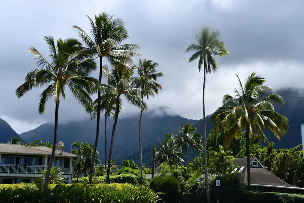 Hawaii 'deki Kauai Adası' nda Hanalei