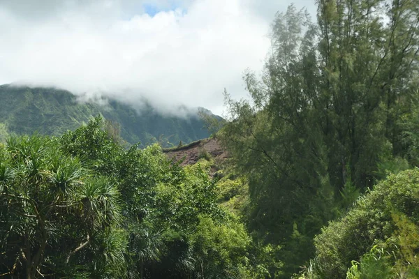 Ханалеї Острові Кауаї Гаваях — стокове фото