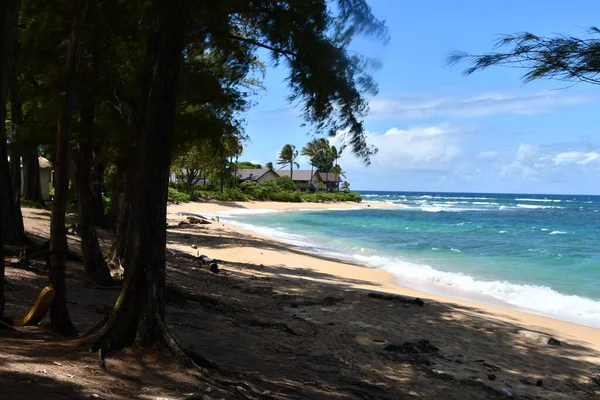 Uitzicht Het Water Vanaf Hanalei Kauai Island Hawaii — Stockfoto