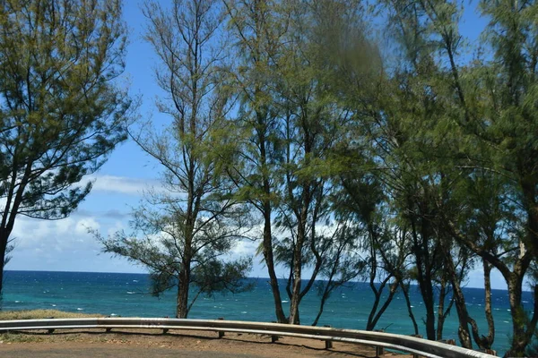 夏威夷考艾岛的Hanalei水景 — 图库照片