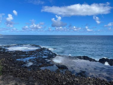 Hawaii 'deki Kauai Adası' nda borazan öttürüyor.