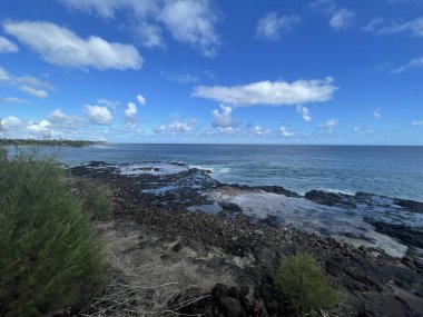 Hawaii 'deki Kauai Adası' nda borazan öttürüyor.