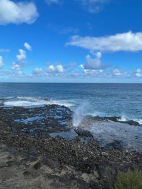 Hawaii 'deki Kauai Adası' nda borazan öttürüyor.