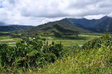 Hawaii 'deki Kauai Adası' ndaki Princeville 'den Hanalei Vadisi Gözcüsü