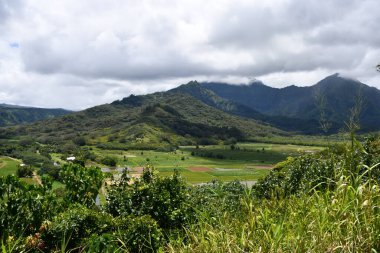 Hawaii 'deki Kauai Adası' ndaki Princeville 'den Hanalei Vadisi Gözcüsü