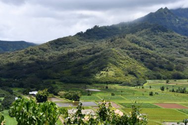 Hawaii 'deki Kauai Adası' ndaki Princeville 'den Hanalei Vadisi Gözcüsü
