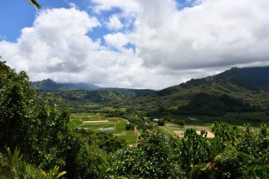 Hawaii 'deki Kauai Adası' ndaki Princeville 'den Hanalei Vadisi Gözcüsü