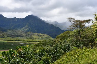 Hawaii 'deki Kauai Adası' ndaki Princeville 'den Hanalei Vadisi Gözcüsü