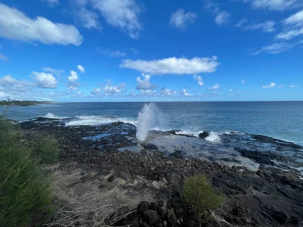 Hawaii Deki Kauai Adası Nda Borazan Öttürüyor — Stok fotoğraf