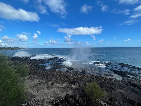 Hawaii Deki Kauai Adası Nda Borazan Öttürüyor — Stok fotoğraf