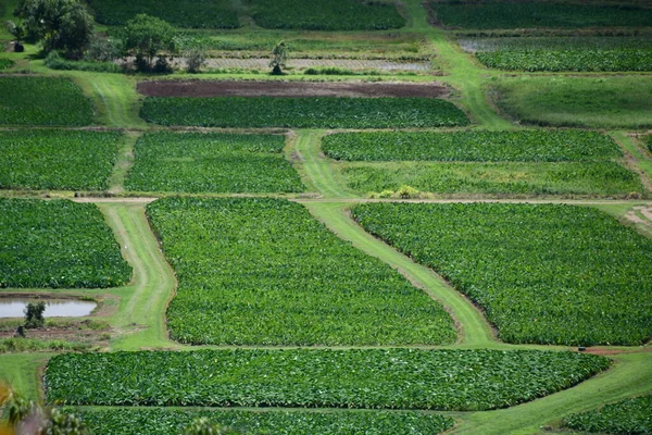 Vista Hanalei Valley Lookout Princeville Ilha Kauai Havaí — Fotografia de Stock