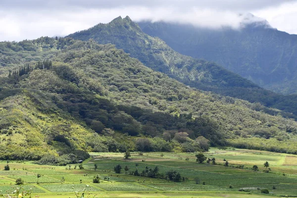 Uitzicht Vanaf Hanalei Valley Uitkijk Princeville Kauai Island Hawaii — Stockfoto