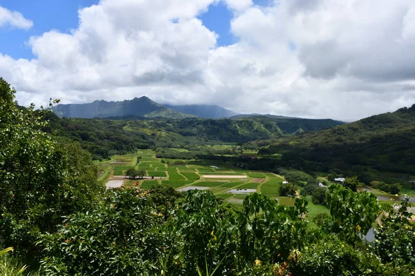 Vista Desde Hanalei Valley Lookout Princeville Isla Kauai Hawaii —  Fotos de Stock