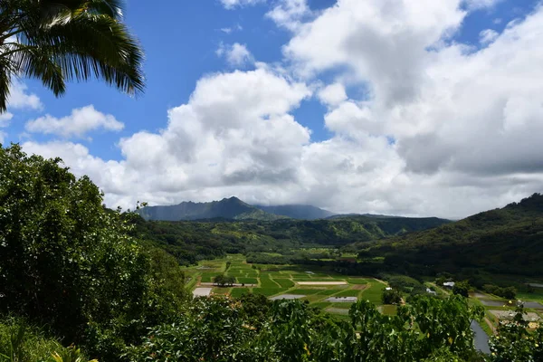 Uitzicht Vanaf Hanalei Valley Uitkijk Princeville Kauai Island Hawaii — Stockfoto