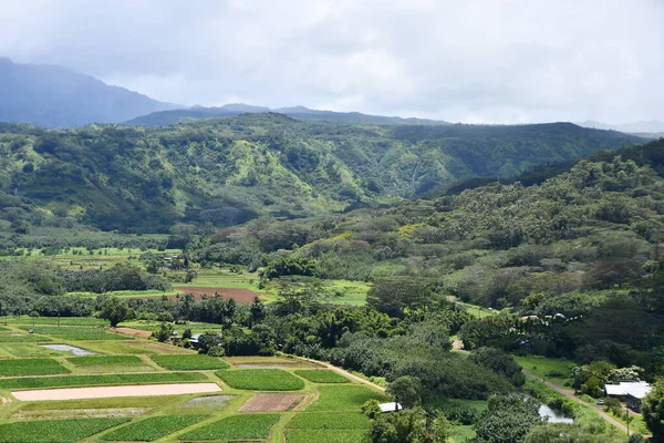 Hawaii 'deki Kauai Adası' ndaki Princeville 'den Hanalei Vadisi Gözcüsü