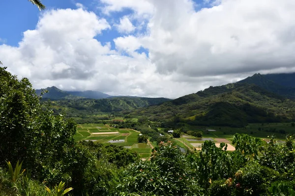 Вид Долини Ханалеї Прінсвіллі Острові Кауаї Гаваях — стокове фото
