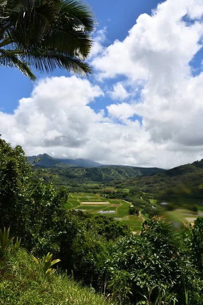 Вид Долины Ханалей Остров Кауаи Гавайях — стоковое фото