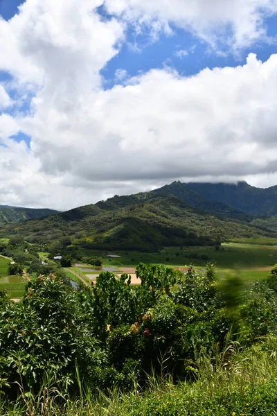 Hawaii 'deki Kauai Adası' ndaki Princeville 'den Hanalei Vadisi Gözcüsü