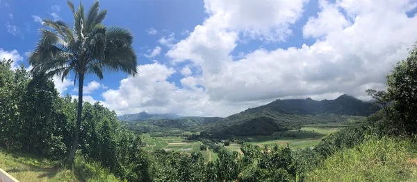 Pohled Rozhledny Hanalei Valley Princeville Ostrově Kauai Havaji — Stock fotografie