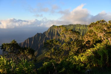 Hawaii 'deki Kauai adasındaki Kapaa' daki Kokee Eyalet Parkı 'ndan Kalalau Gözcü Manzarası